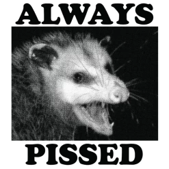 Wicked Clothes 'Always Pissed' Shirt