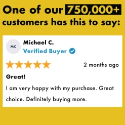 Wicked Clothes 'Forbidden Cats' Sweatshirt -Wicked Clothes Shop forbidden cats review