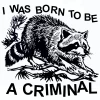 Wicked Clothes 'Born Criminal' Shirt -Wicked Clothes Shop i was born to be a criminal raccoon shirt 1