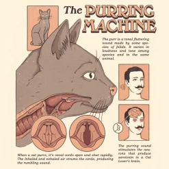 Wicked Clothes 'Purring Machine' Shirt