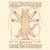 Wicked Clothes 'Vitruvian Cat' Shirt -Wicked Clothes Shop vitruvian cat shirt 2